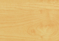 Sugar Maple Thumbnail