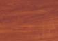 Cherry Thumbnail