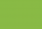 Vibrant Green Thumbnail