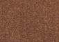 Joy Carpet - Endurance - Brown