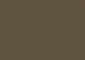 Dark Bronze