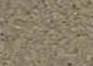 Moccasin